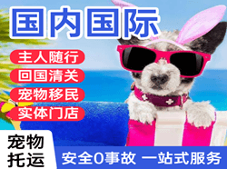 抚远机场托运国际宠物托运 【国